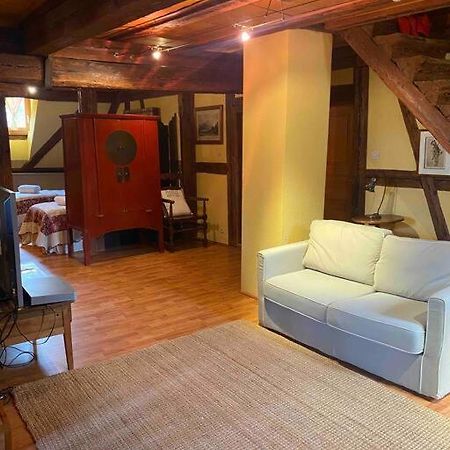 Le Majestueux Dans Le Centre Historique Apartamento Riquewihr Exterior foto