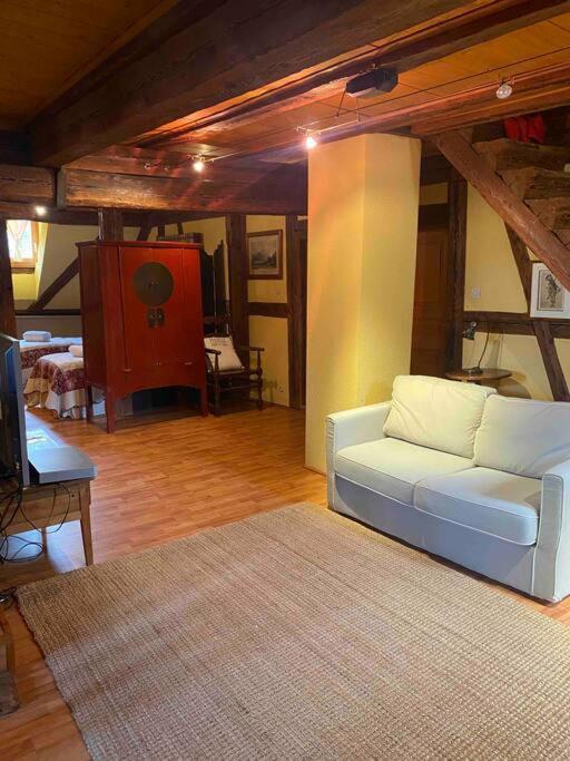 Le Majestueux Dans Le Centre Historique Apartamento Riquewihr Exterior foto